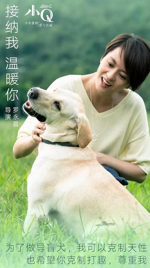 西安外事学院毕业证补办